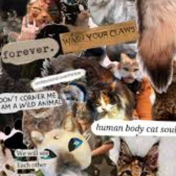 Meet your Posher, Ash - Picture 2 of 6